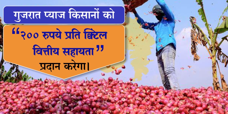 प्याज किसानों को गुजरात 200 रुपये प्रति क्विंटल वित्तीय सहायता प्रदान करेगा।