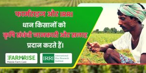 धान किसानों को कृषि संबंधी जानकारी और सलाह प्रदान करने के लिए फार्मराइज और IRRI सहयोग करते हैं।