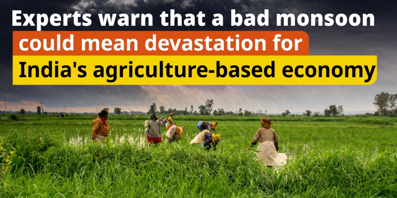 Experts Warn That a Bad Monsoon Could Mean Devastation For India’s Agriculture-Based Economy