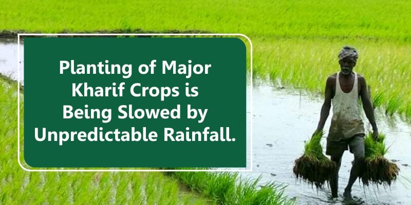 Planting of Major Kharif Crops is Being Slowed By Unpredictable Rainfall.