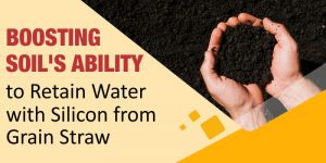 Boosting Soil’s Ability to Retain Water with Silicon from Grain Straw
