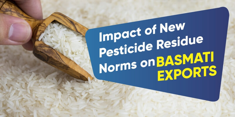 Punjab Farmers Worried About Potential Impact of New Pesticide Residue Norms on Basmati Exports