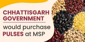 The Chhattisgarh government would purchase pulses at MSP to encourage agricultural diversity