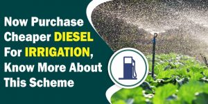 Good news: Farmers will be Able to Purchase Cheaper Diesel For Irrigation