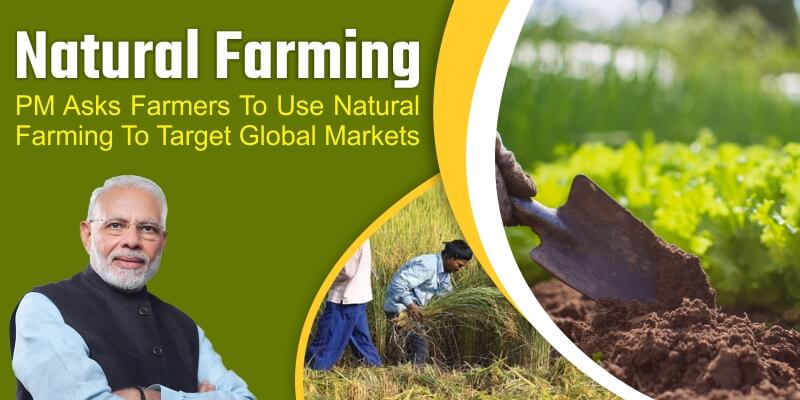 PM Asks Farmers To Use Natural Farming To Target Global Markets