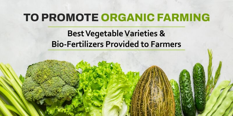 To Promote Organic Farming, Best Vegetable Varieties & Bio-Fertilizers Provided to Farmers