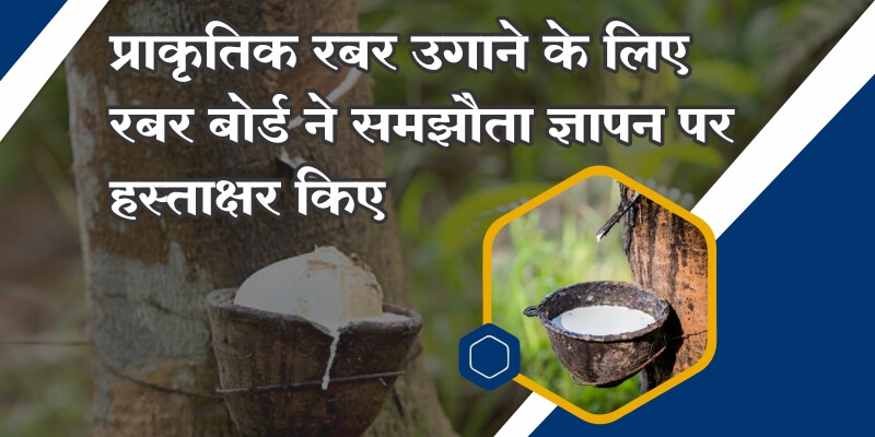दक्षिण गुजरात में प्राकृतिक रबर उगाने के लिए, रबर बोर्ड ने नवसारी कृषि विश्वविद्यालय के साथ एक समझौते पर हस्ताक्षर किए