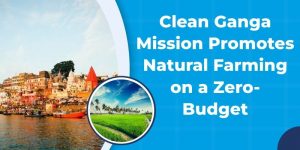 Clean Ganga Mission Promotes Natural Farming on a Zero-Budget