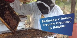 Beekeepers’ Training Program Organized by NABARD