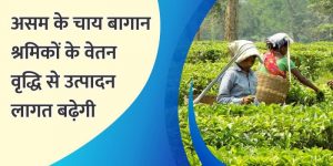 असम के चाय बागान श्रमिकों के वेतन वृद्धि से उत्पादन लागत बढ़ेगी