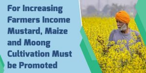 Mustard, Maize, and Moong Cultivation Must be Promoted, According to Agri Experts, in Order to Increase Farmers’ Income