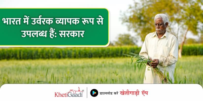 fertilizers-widely-available-in-india-govt