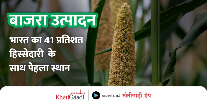 millet-production-india-ranks-first