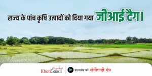 राज्य के पांच कृषि उत्पादों को दिया गया जीआई टैग।
