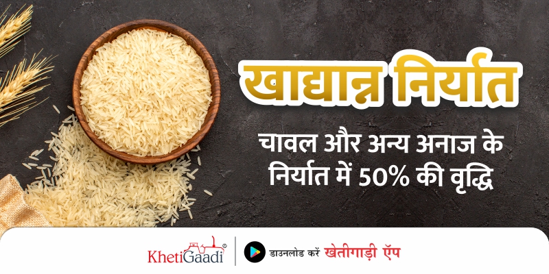 खाद्यान्न निर्यात : चावल और अन्य अनाज के निर्यात में 50% की वृद्धि |