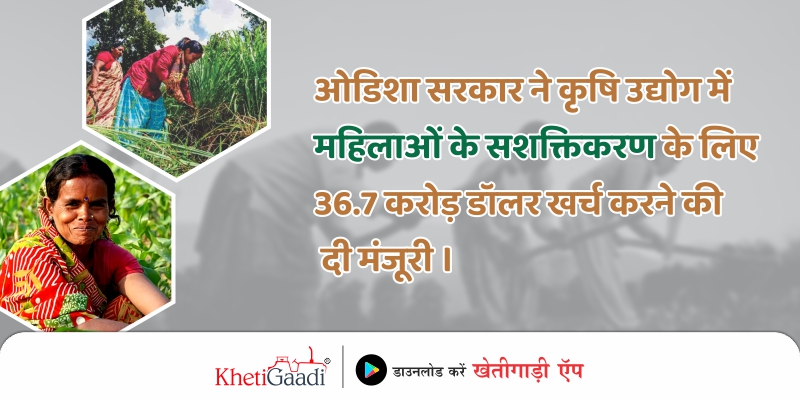 ओडिशा सरकार ने कृषि उद्योग में महिलाओं  के सशक्तिकरण के लिए 36.7 करोड़ डॉलर खर्च करने की दी मंजूरी ।