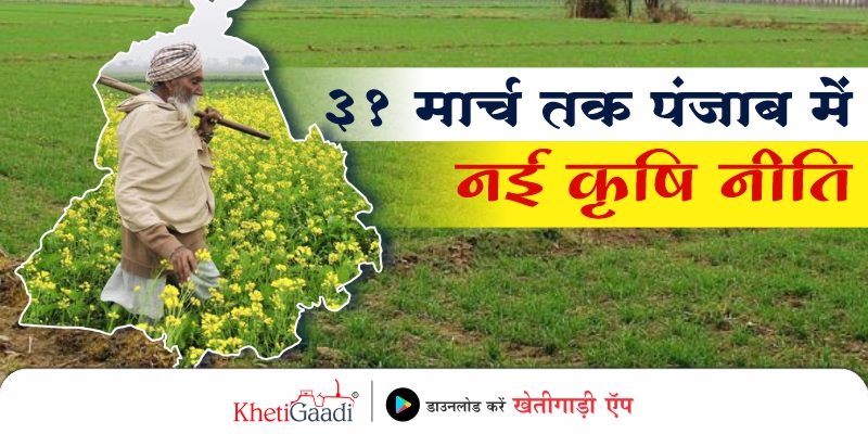 पंजाब में नई कृषि नीति 31 मार्च तक : कुलदीप सिंह धालीवाल