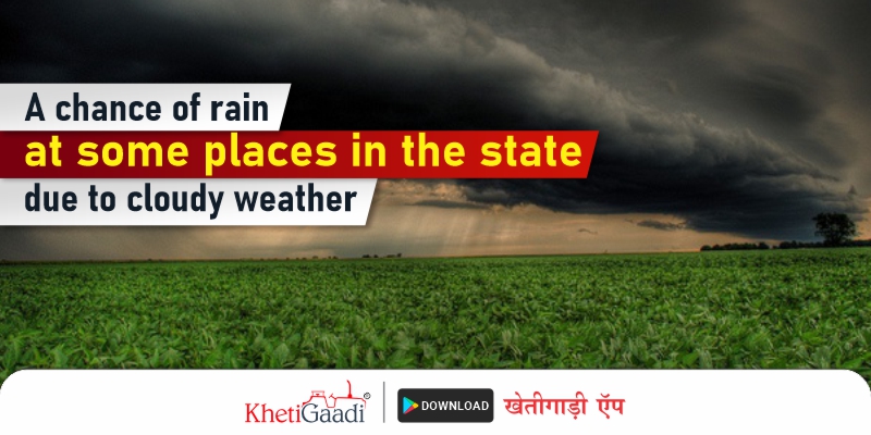 Cloudy weather at some places in the state; a chance of rain at some places