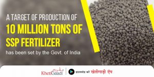 SSP fertilizer is the best alternative to DAP and NPK, the Government of India has set a target of producing 10 million metric tons of it.