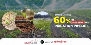 Irrigation Pipeline Subsidy: 60% subsidy being given to farmers on irrigation pipeline, apply today itself