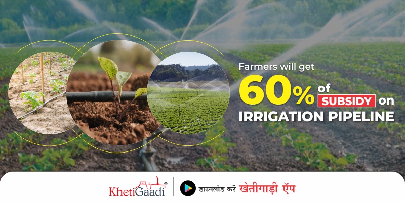 Irrigation Pipeline Subsidy: 60% subsidy being given to farmers on irrigation pipeline, apply today itself