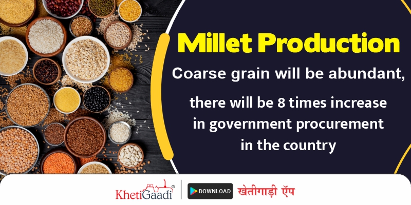 Coarse grain will be abundant; 8 times increase in government procurement in the country.