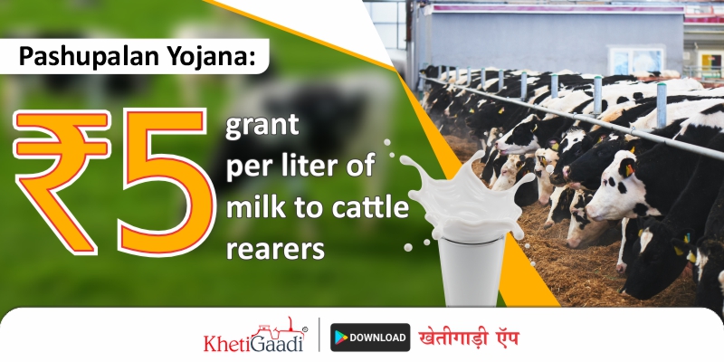 Cattle keepers will get a grant of 5 rupees per liter of milk from the Pashupalan Yojana.