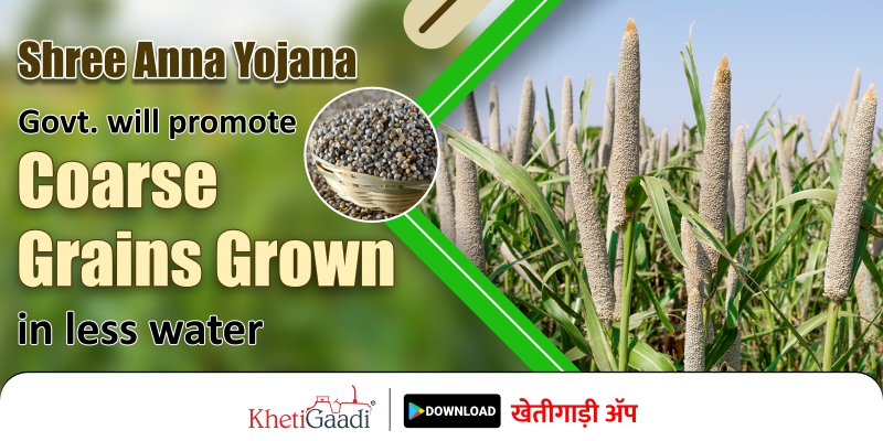 Government will promote coarse grains grown in less water under Shree Anna Yojana.