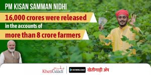 PM Kisan Samman Nidhi: About 16,000 crores were released in the accounts of more than 8 crore farmers.