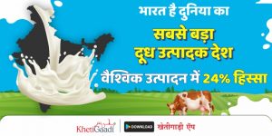 दूध उत्पादन: भारत दुनिया का सबसे बड़ा दूध उत्पादक देश है, जो वैश्विक उत्पादन का 24 प्रतिशत हिस्सा है।