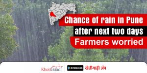 Chance of rain in Pune after next two days; Farmers worried