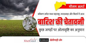 कोंकण समेत मध्य महाराष्ट्र, मराठवाड़ा और विदर्भ में आज बारिश की चेतावनी, कुछ जगहों पर ओलावृष्टि का अनुमान