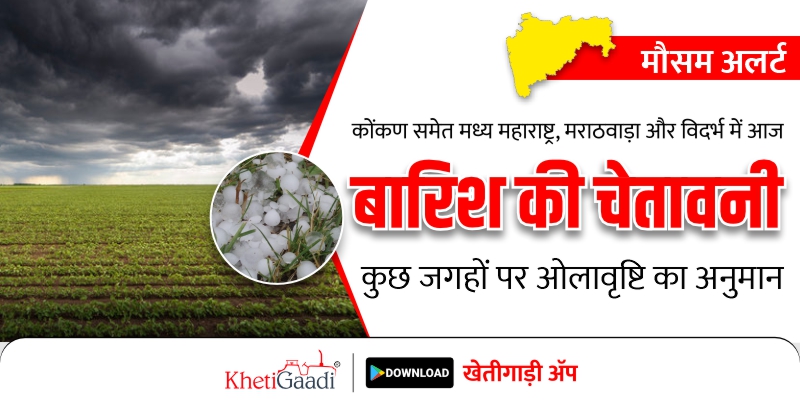 कोंकण समेत मध्य महाराष्ट्र, मराठवाड़ा और विदर्भ में आज बारिश की चेतावनी, कुछ जगहों पर ओलावृष्टि का अनुमान