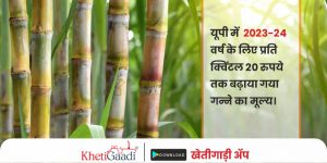 यूपी (Uttar pradesh) में  2023-24 वर्ष के लिए प्रति क्विंटल 20 रुपये तक बढ़ाया गन्ने का मूल्य(Sugarcane rate)