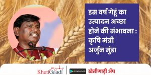 इस वर्ष गेहूं (winter wheat) का उत्पादन अच्छा होने की संभावना: कृषि मंत्री अर्जुन मुंडा