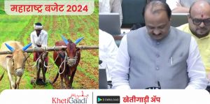 महाराष्ट्र बजेट 2024: शेतकऱ्यांसाठी ‘मागेल त्याला सौर कृषी पंप योजने’ची (maharashtra saur krushi pump yojana) अर्थसंकल्पात घोषणा.