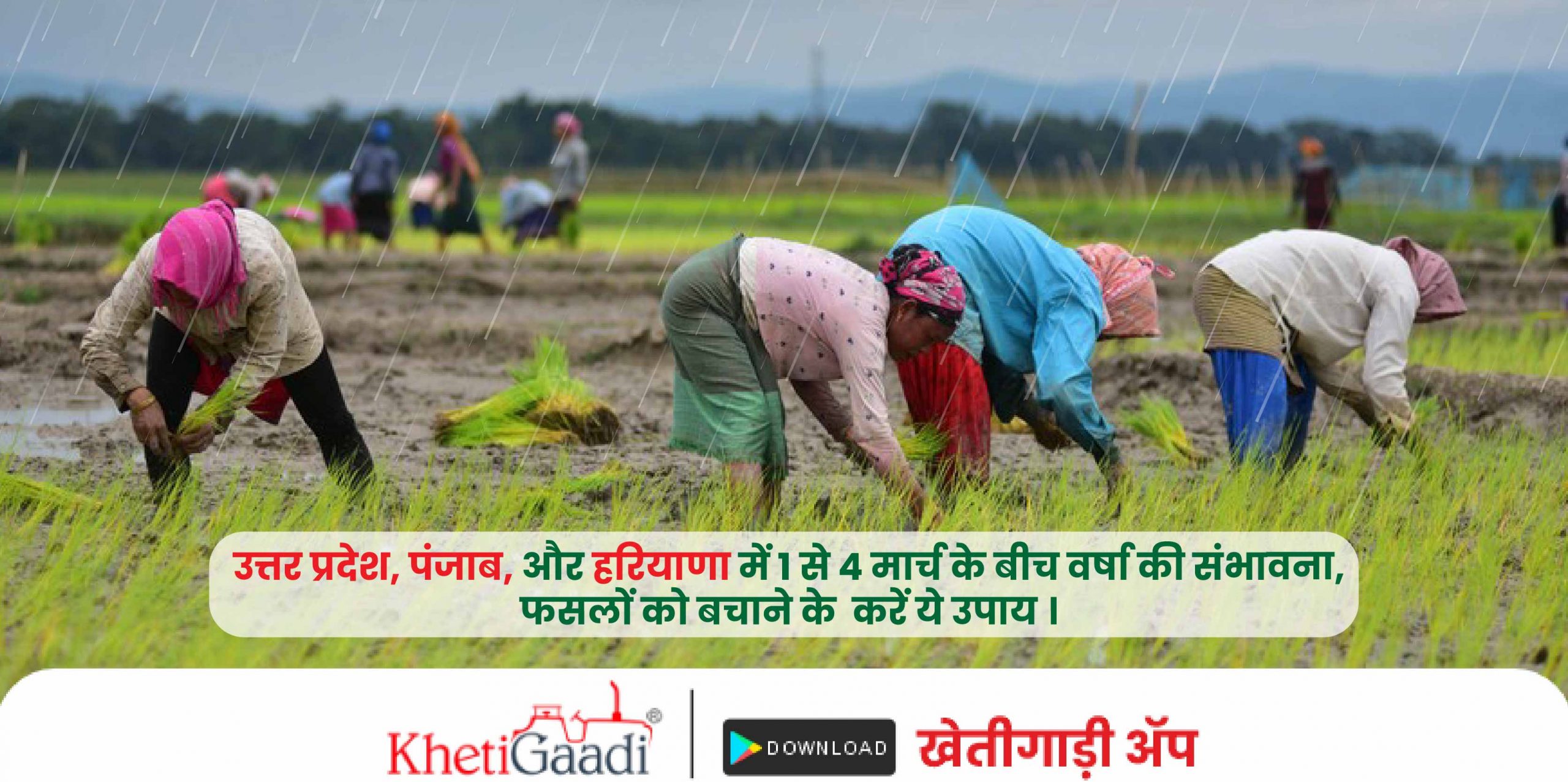 उत्तर प्रदेश, पंजाब, और हरियाणा में 1 से 4 मार्च के बीच वर्षा की संभावना (Barish ki update),फसलों को बचाने के  करें ये उपाय।