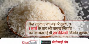 केंद्र सरकार का बड़ा फैसला, 31 मार्च के बाद भी चावल निर्यात  (Rice Export) पर  कायम रहेगी 20 फीसदी निर्यात शुल्क।