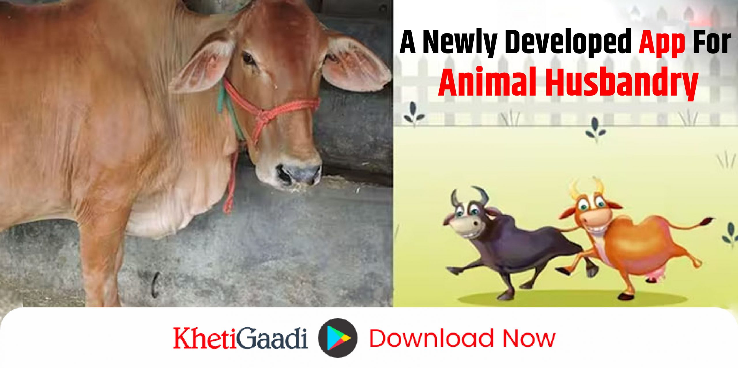 Government of Maharashtra presents a big gift to farmers: A newly developed app for animal husbandry, learn how to use it