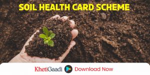 मृदा स्वास्थ्य कार्ड योजना पोर्टल: किसान अब जान सकते हैं मिट्टी की सेहत
