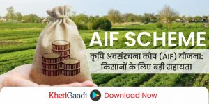 कृषि अवसंरचना कोष (AIF) योजना: किसानों के लिए बड़ी सहायता और लोन प्रक्रिया