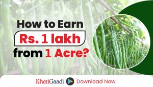 Want to earn Rs. 1 lakh from 1 Acre?