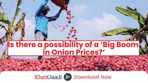 Is there a possibility of a ‘Big Boom in Onion Prices?’