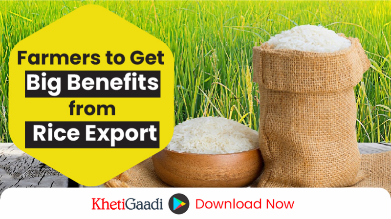 India Opens New Markets: Rice Export Revolution