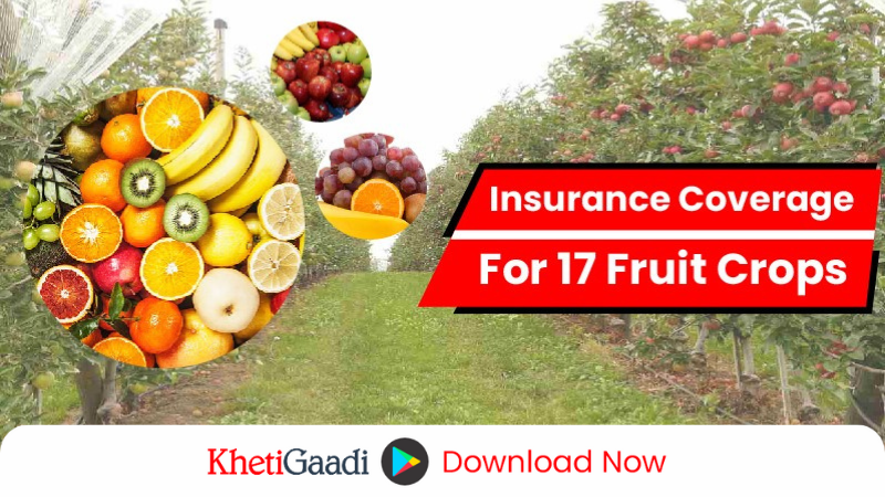 Insurance Coverage for 17 Fruit Crops