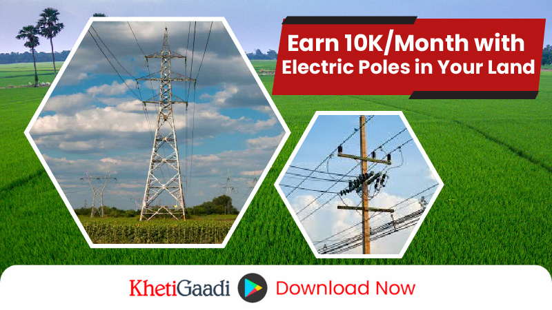 Farmers to get Rs. 10 thousand per month for electric poles on their land