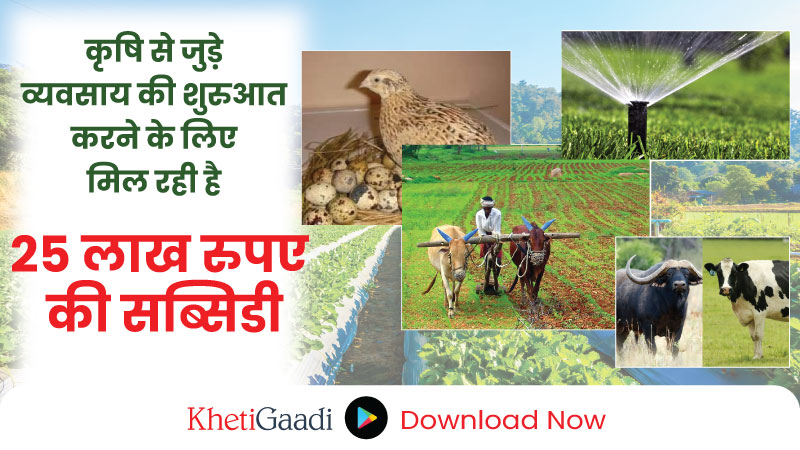 कृषि से जुड़े व्यवसाय की शुरुआत करने के लिए मिल रही है 25 लाख रुपए की सब्सिडी