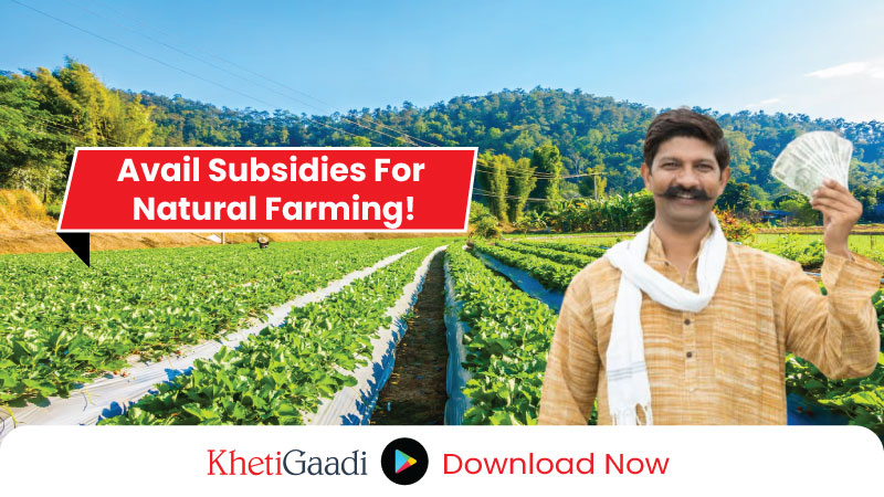 ‘Farmers Doing Natural Farming for Three Years Will Get Subsidy’