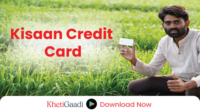 KCC: ध्यान दें! इन किसानों को नहीं मिलेगा किसान क्रेडिट कार्ड योजना का लाभ