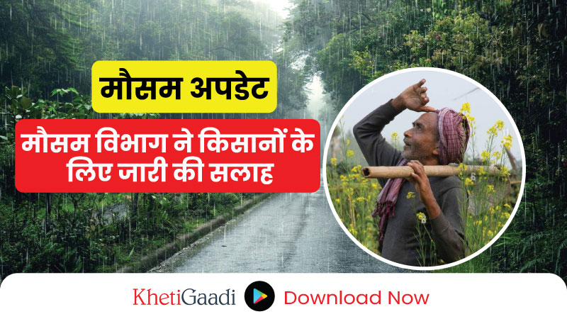 मौसम अपडेट: देश के विभिन्न हिस्सों में भारी बारिश की संभावना, मौसम विभाग ने किसानों के लिए जारी की सलाह